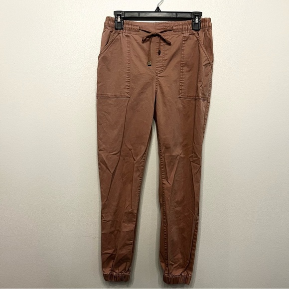 FRYE AND CO. Pants - Frye & Co Womens Jogger Pants Size Medium Pink Pull On